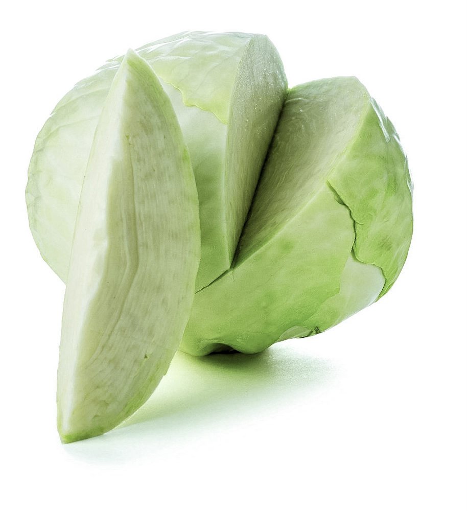 Cabbage, white