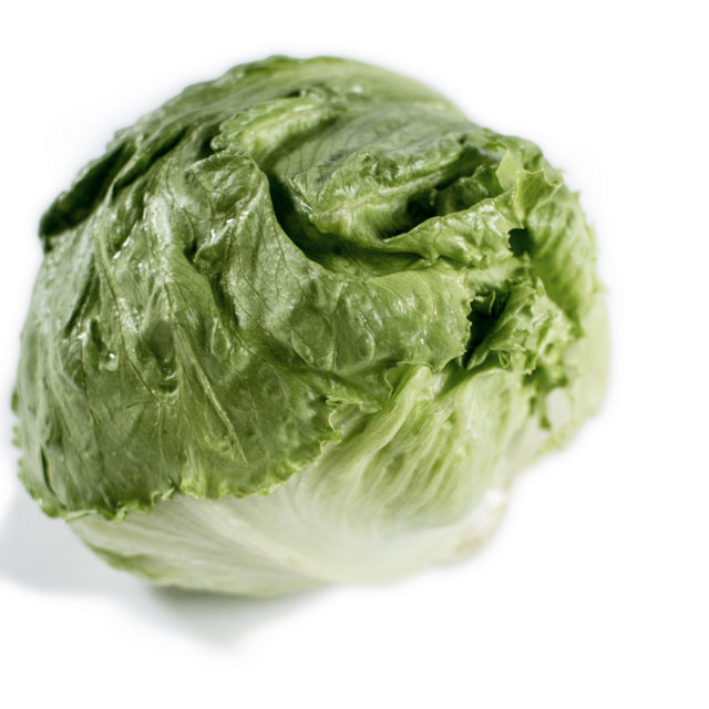 Økologisk Iceberg