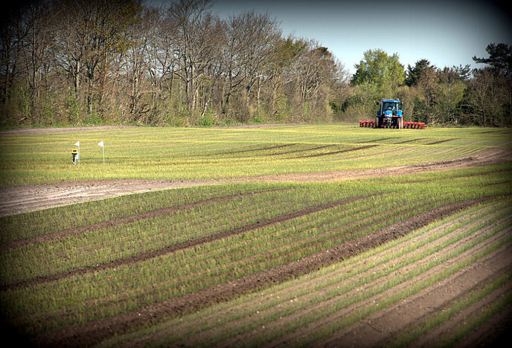 Nye forsøg i marken i 2014
