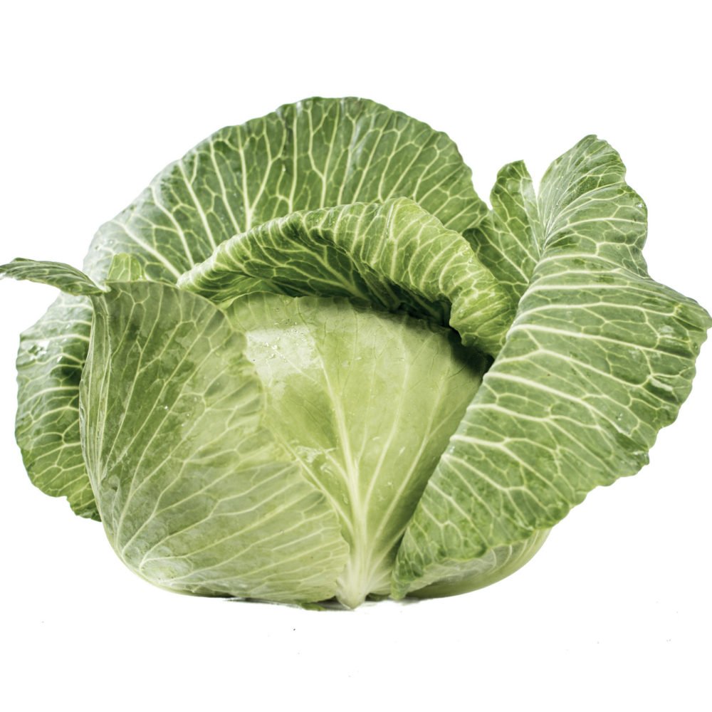 Fladkål