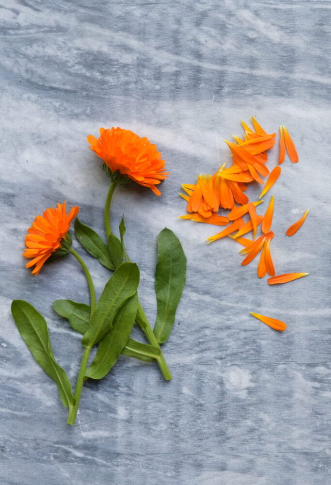 Friske urter og spiselige blomster